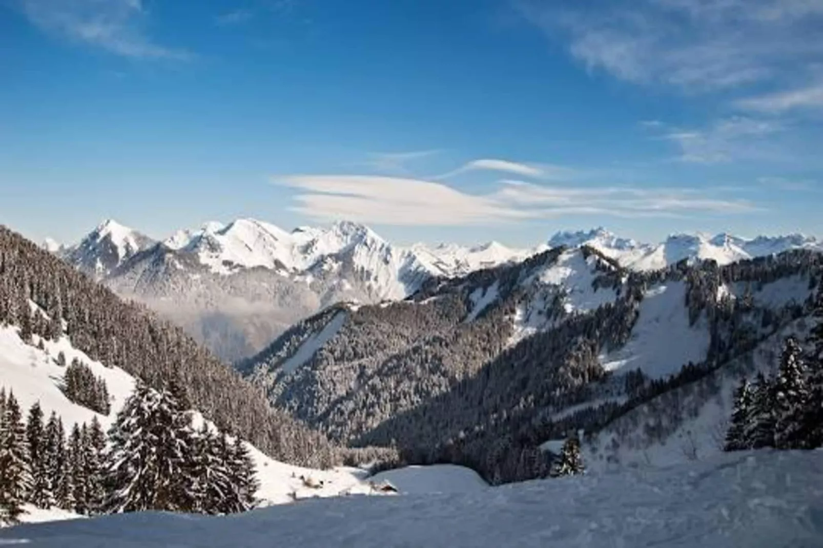 Appartements à Montriond-Gebied winter 5km