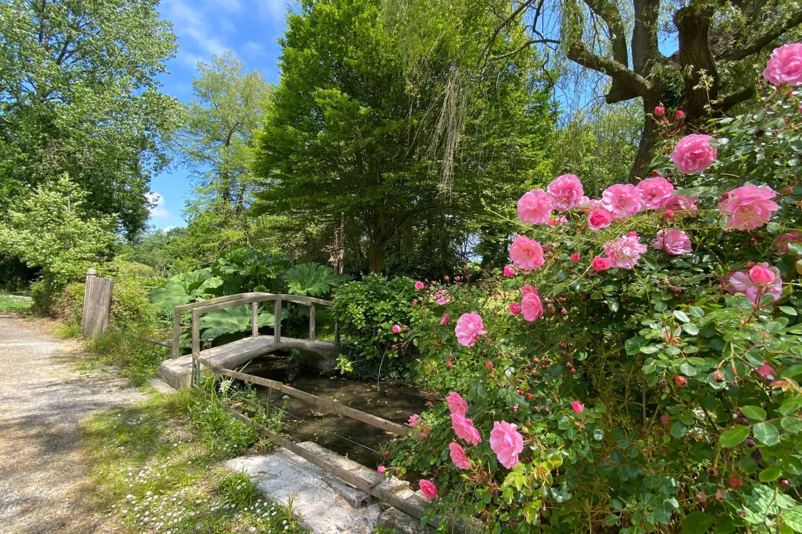 Semi-detached house St Sauveur-le-Vicomte-Tuinen zomer