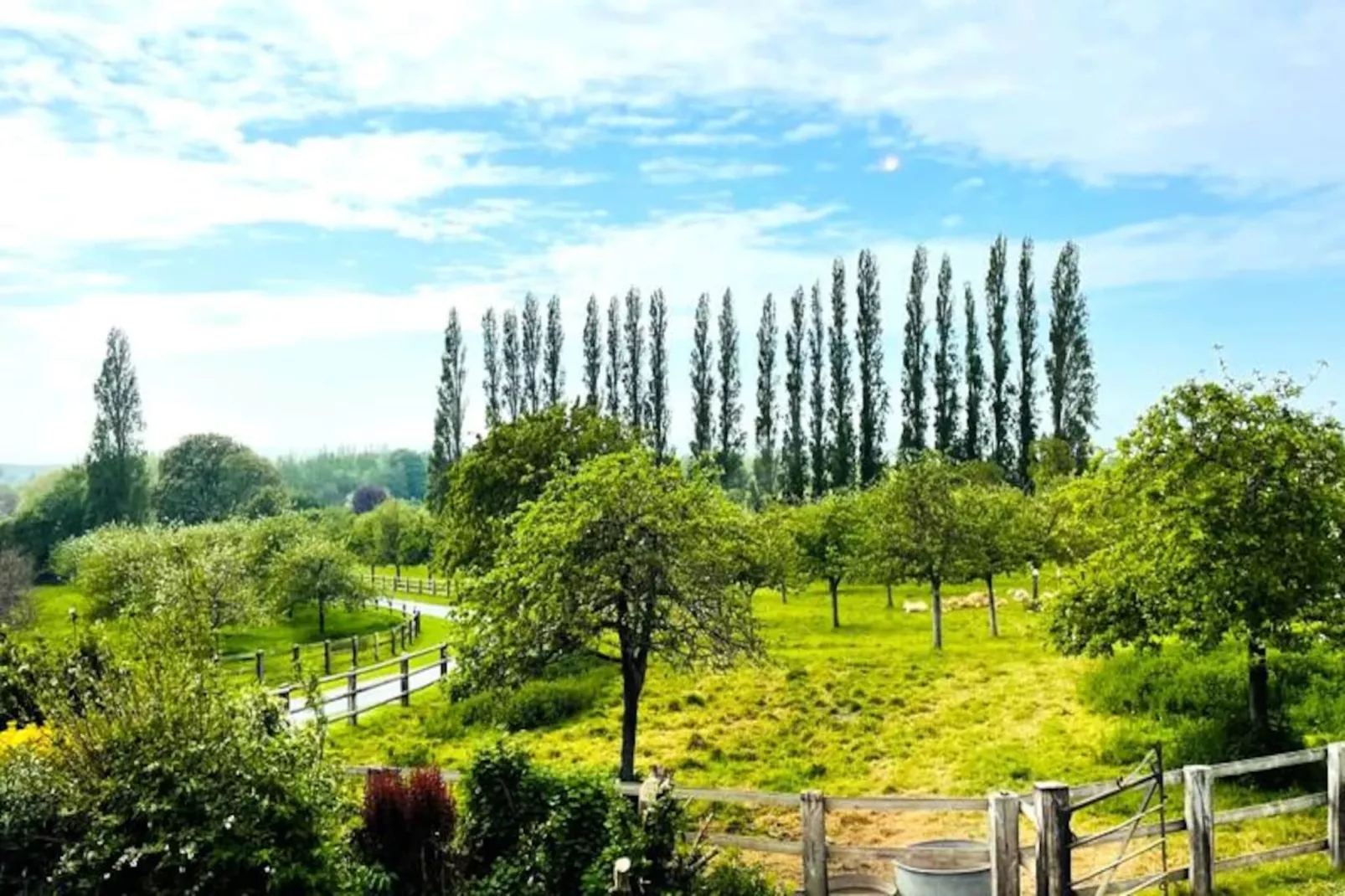 🍎 La Tourterelle - Domaine D'apreval - Campagne-Image-tags.