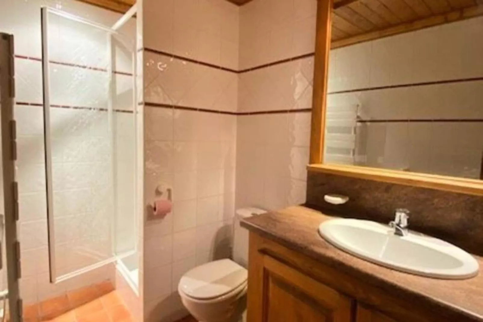 Résidence Alpina Lodge-Badkamer