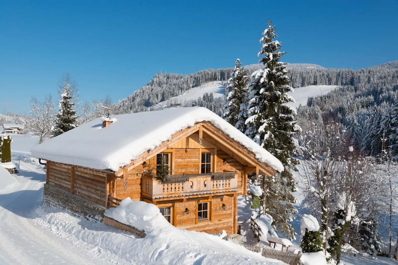 Chalet Steinbock-Exterieur winter