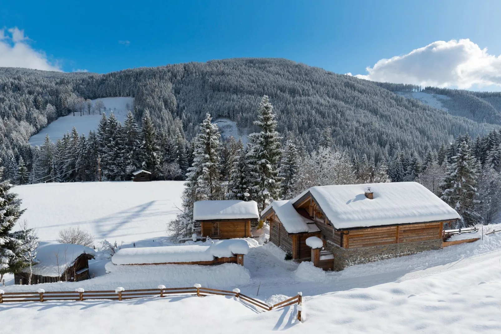 Chalet Steinbock-Sfeer