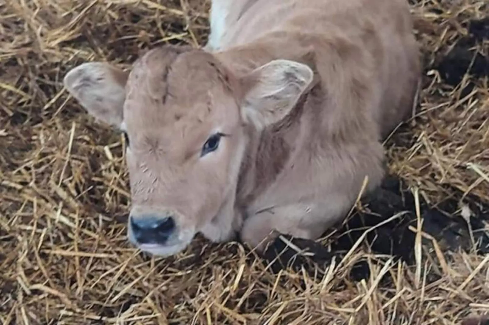 Gîte de France Gîte "la nature" 4 épis-Image-tags.