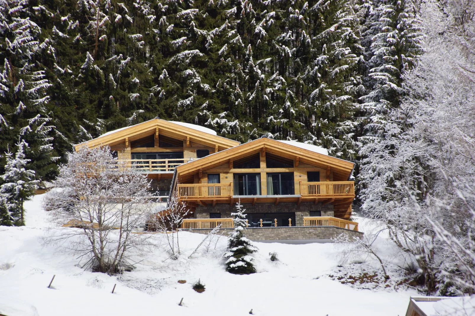 Chalet Glemmerl Mountain Lodge-Exterieur winter