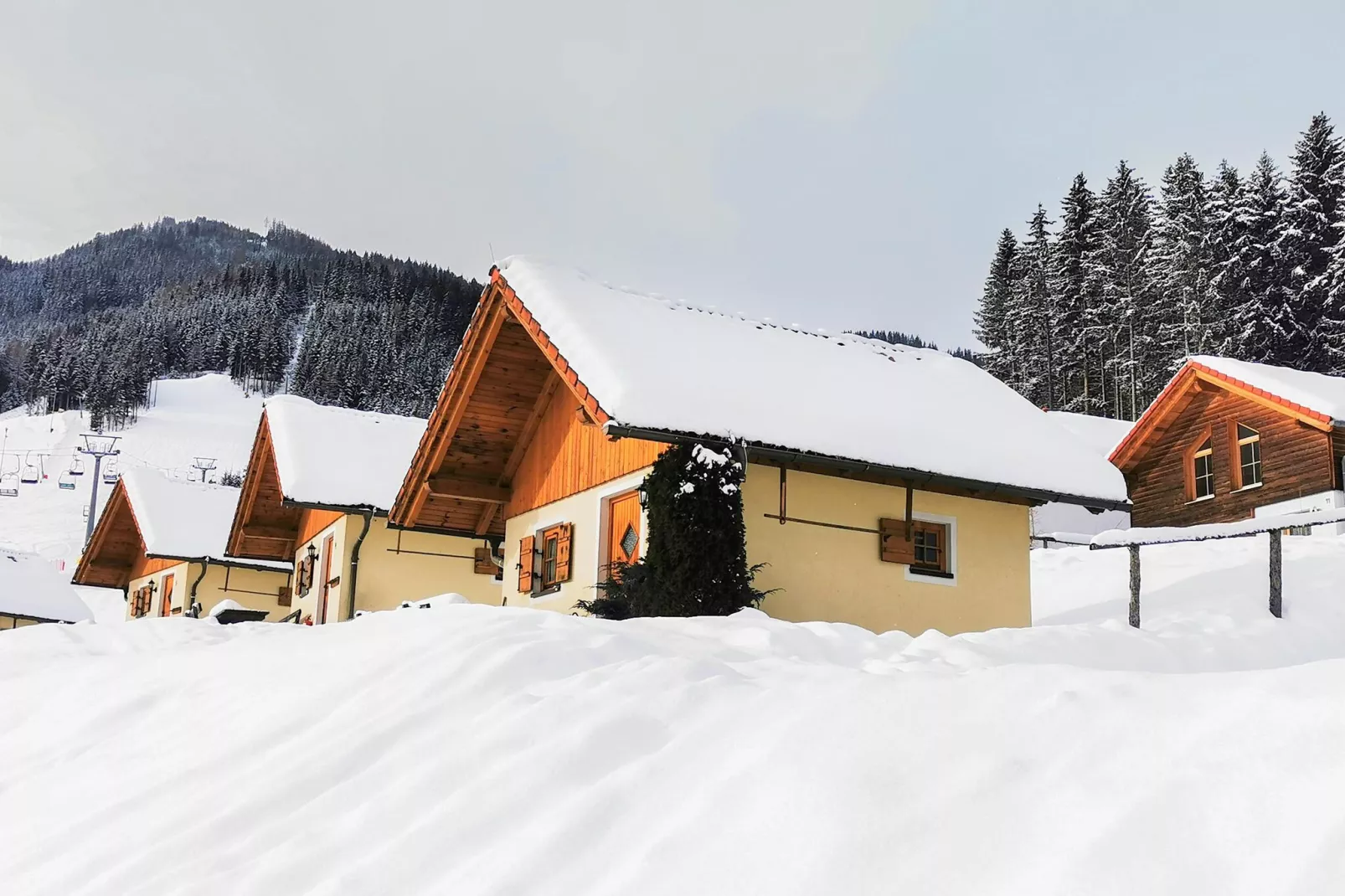 Ferienpark Gaal - Alpenland-Exterieur winter