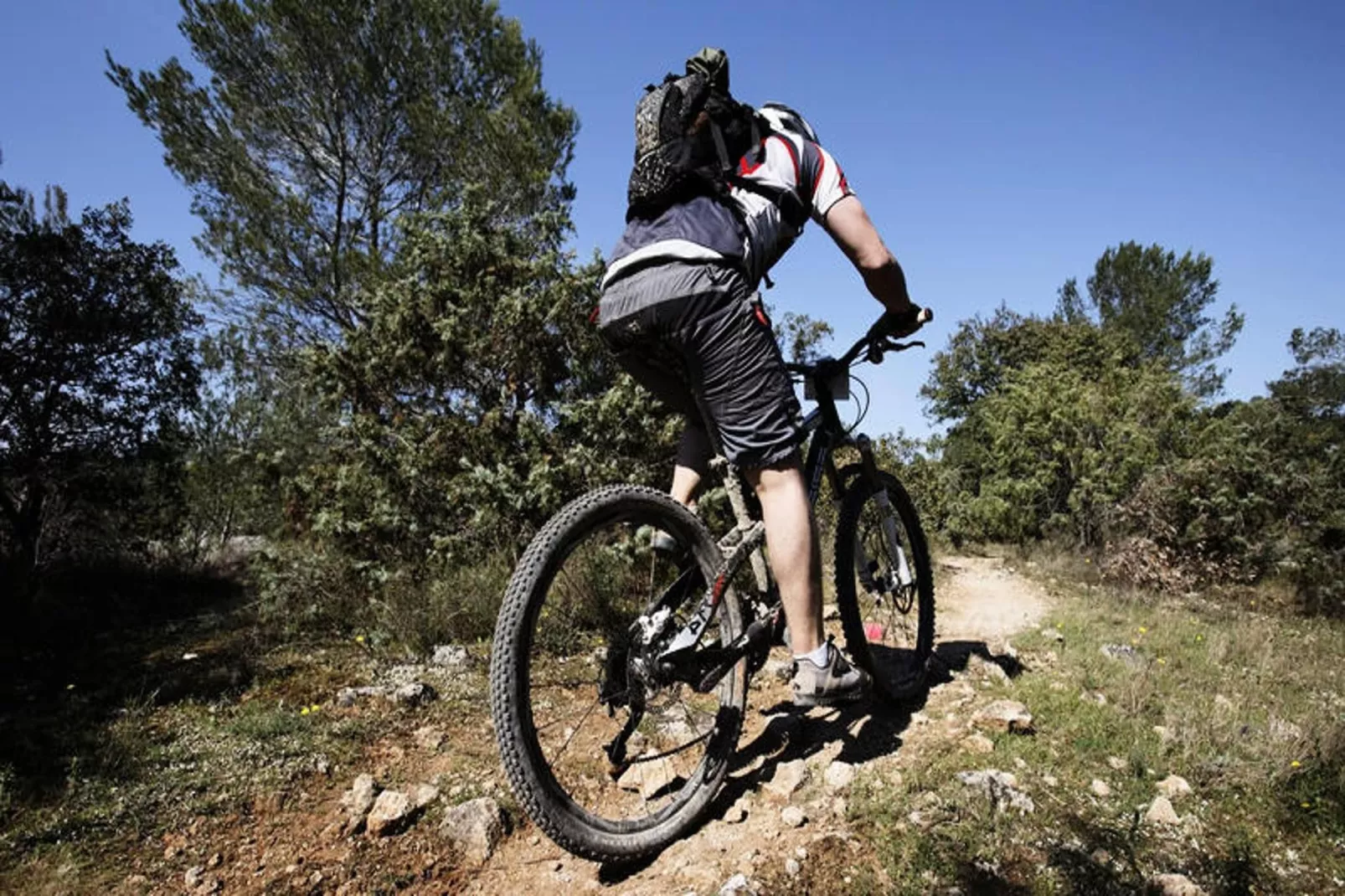 Appartements à Saint Jean d'Aulps-Gebieden zomer 5km
