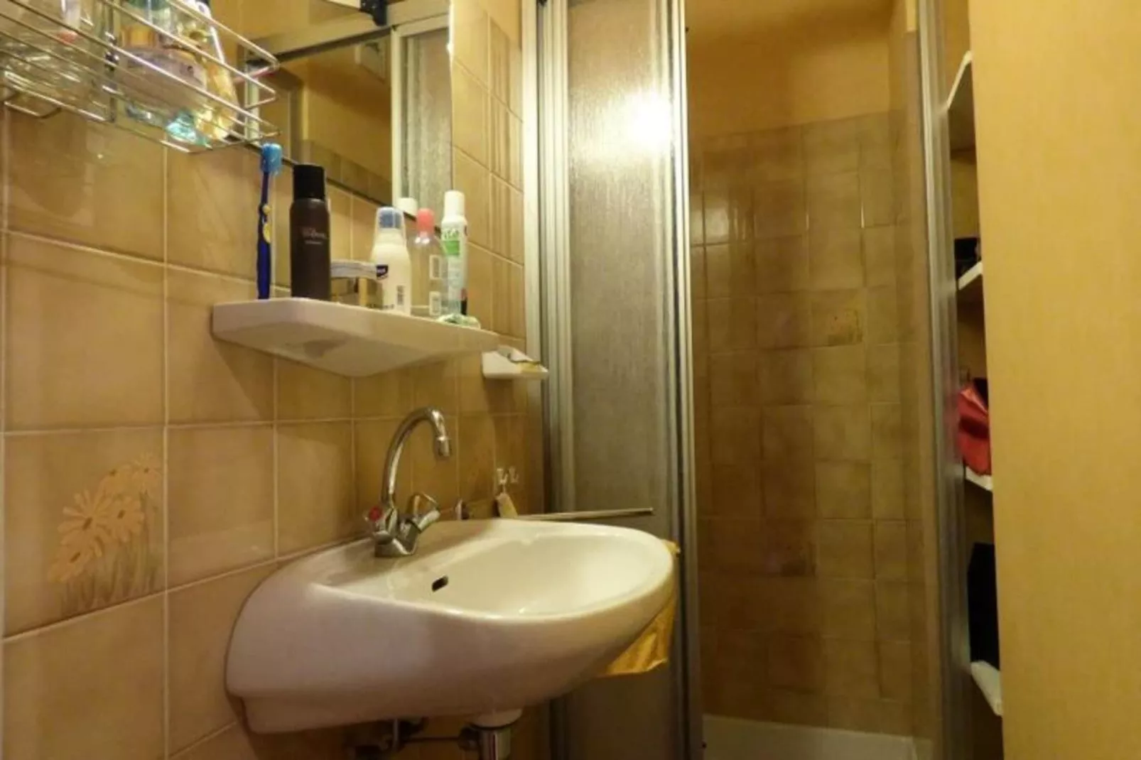 Résidence Arolles-Badkamer