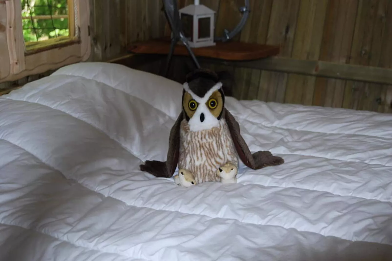 Parc de la Belle-Image-tags.