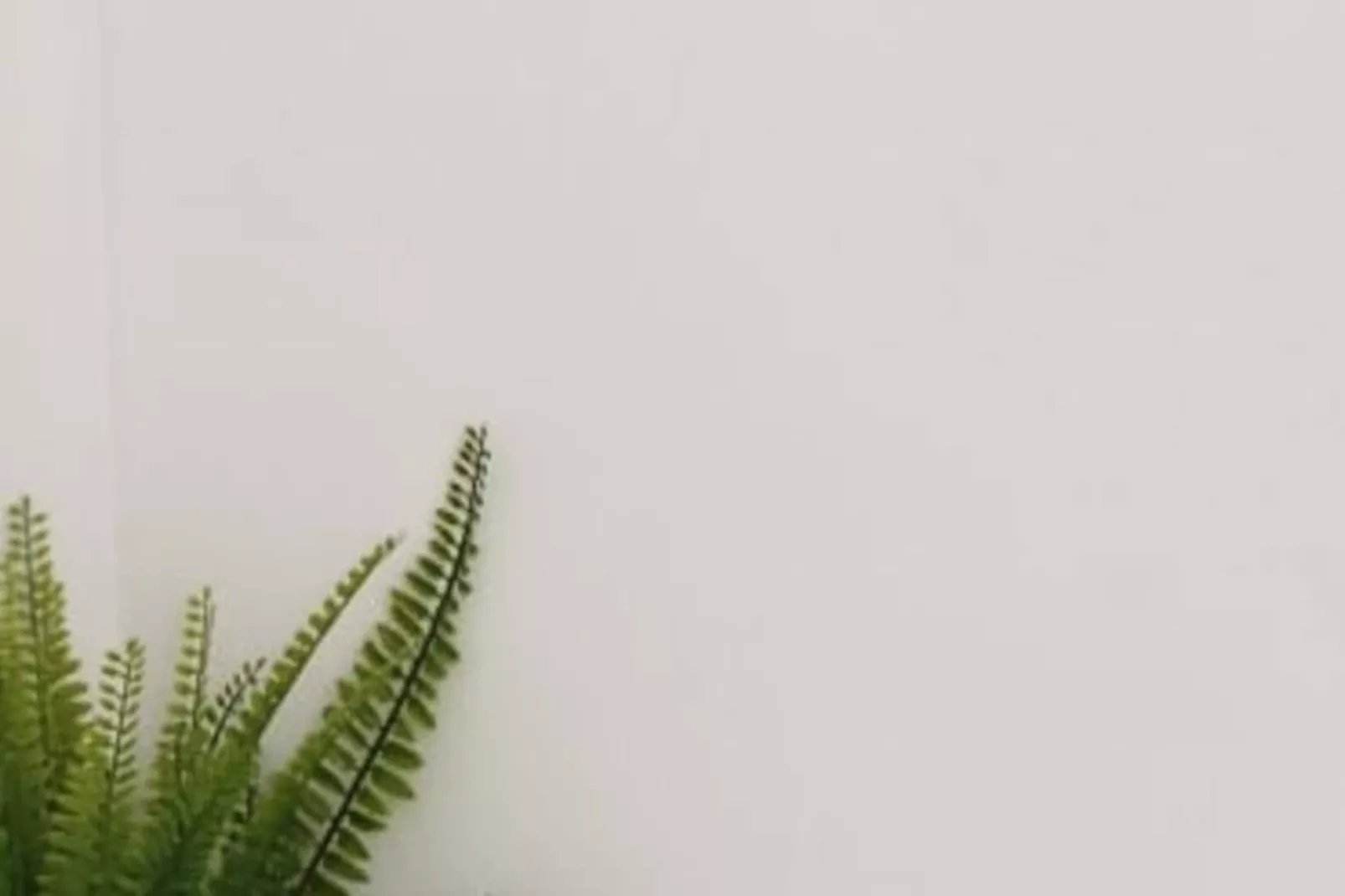 Résidence Une Escale En Bord De Plage Avec Piscine Et Jardins.-Image-tags.