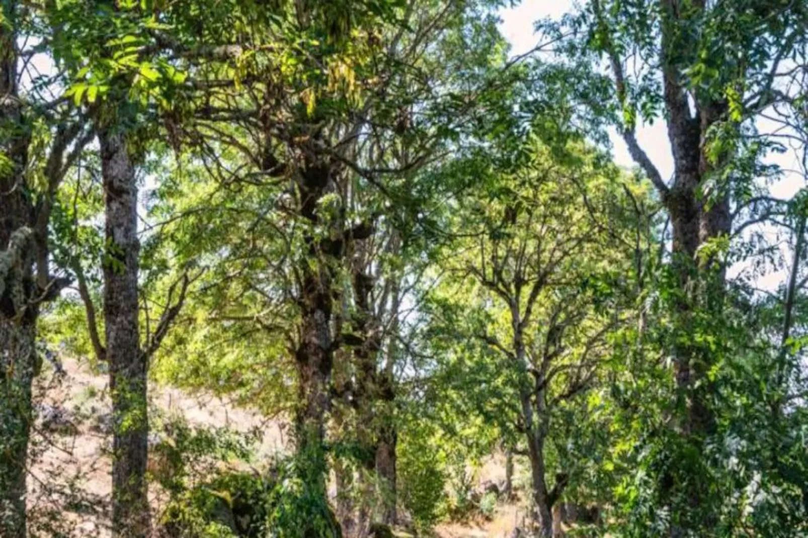 Gîte de France Gîte les bouteillers 6/8 personnes 3 épis-Image-tags.