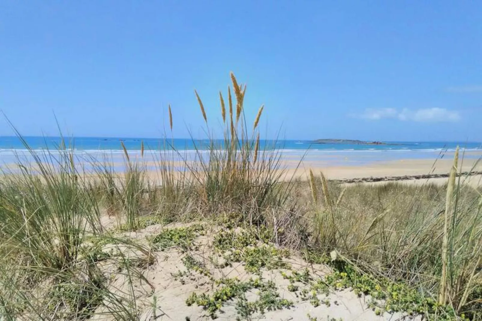 Résidence Cap Marine-Image-tags.