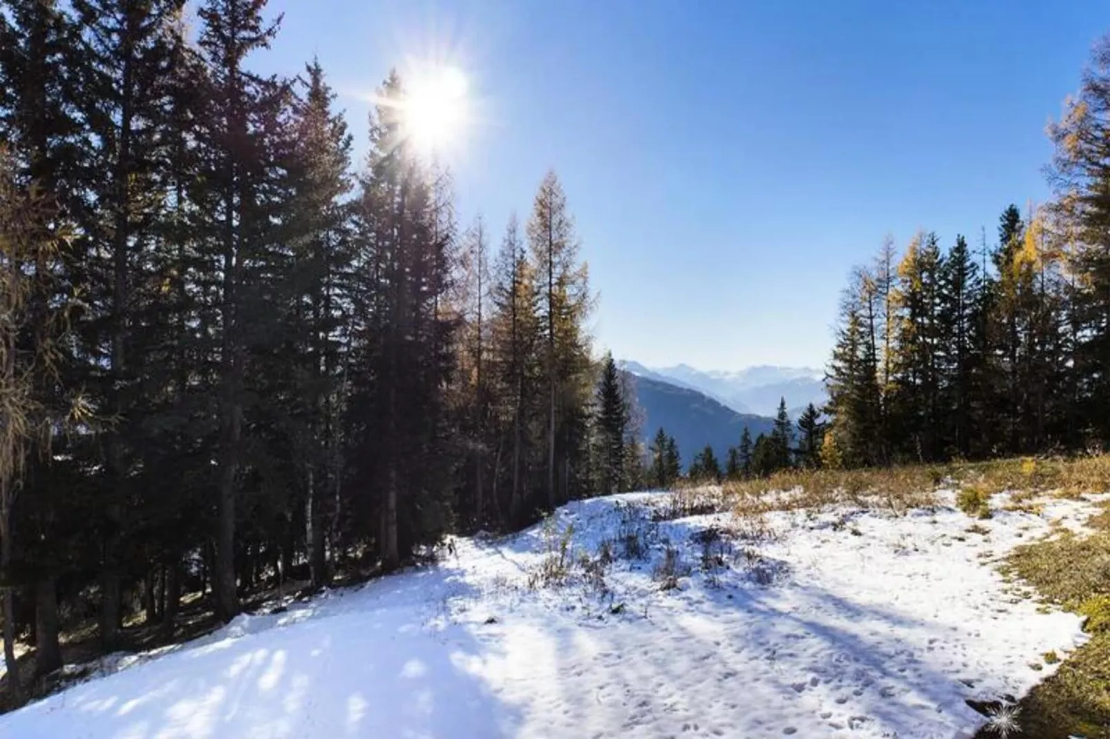 Residence L'igloo-Eetkamer