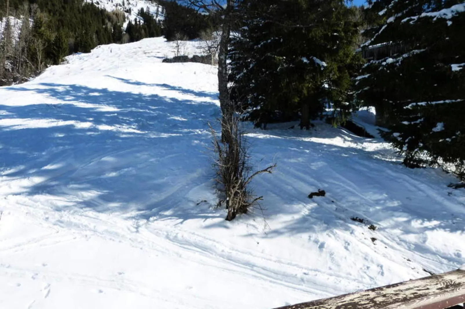 Résidence Aravis 1600 - Uitzicht winter