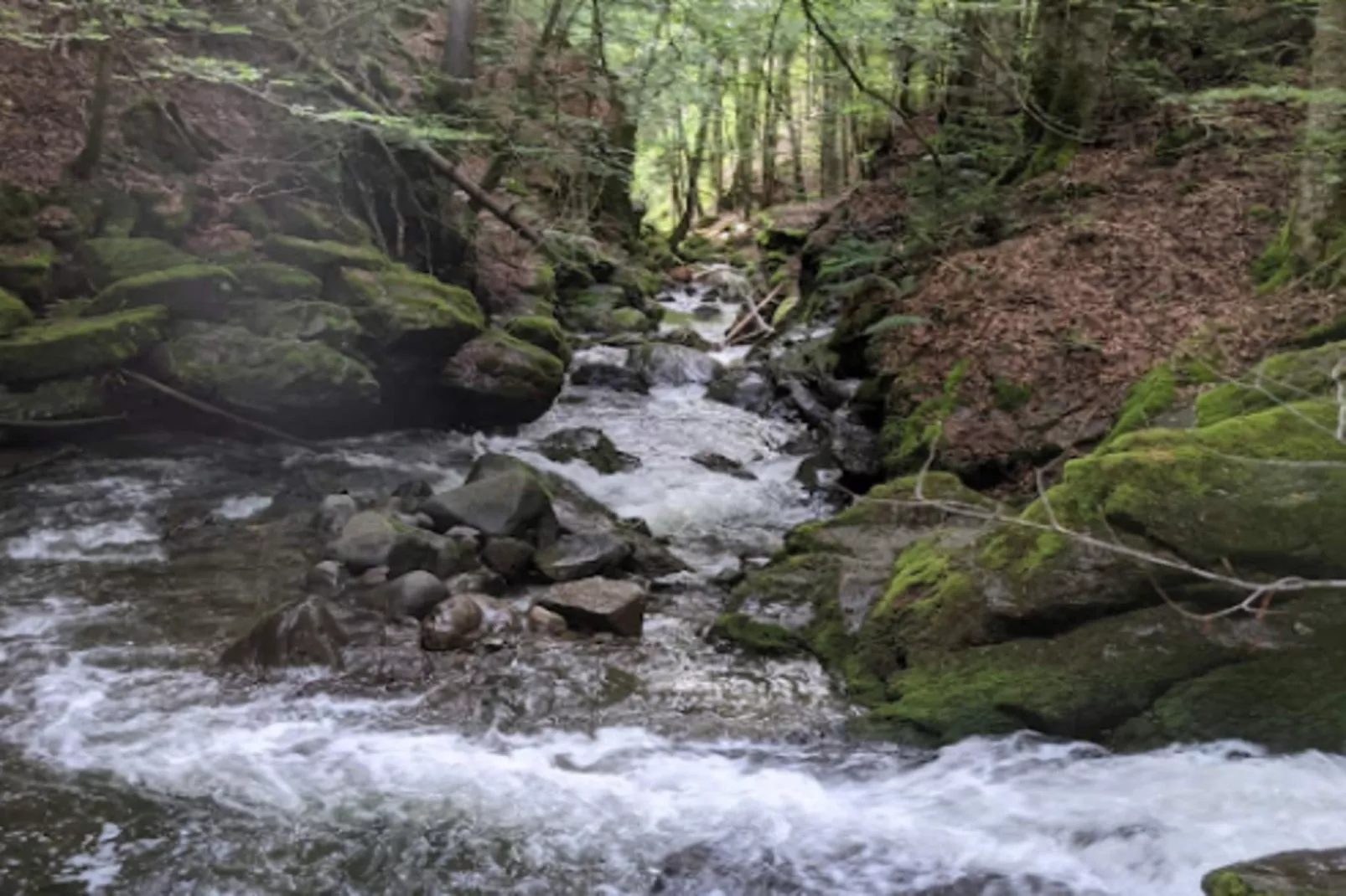 Appartements à La Clusaz-Gebieden zomer 5km