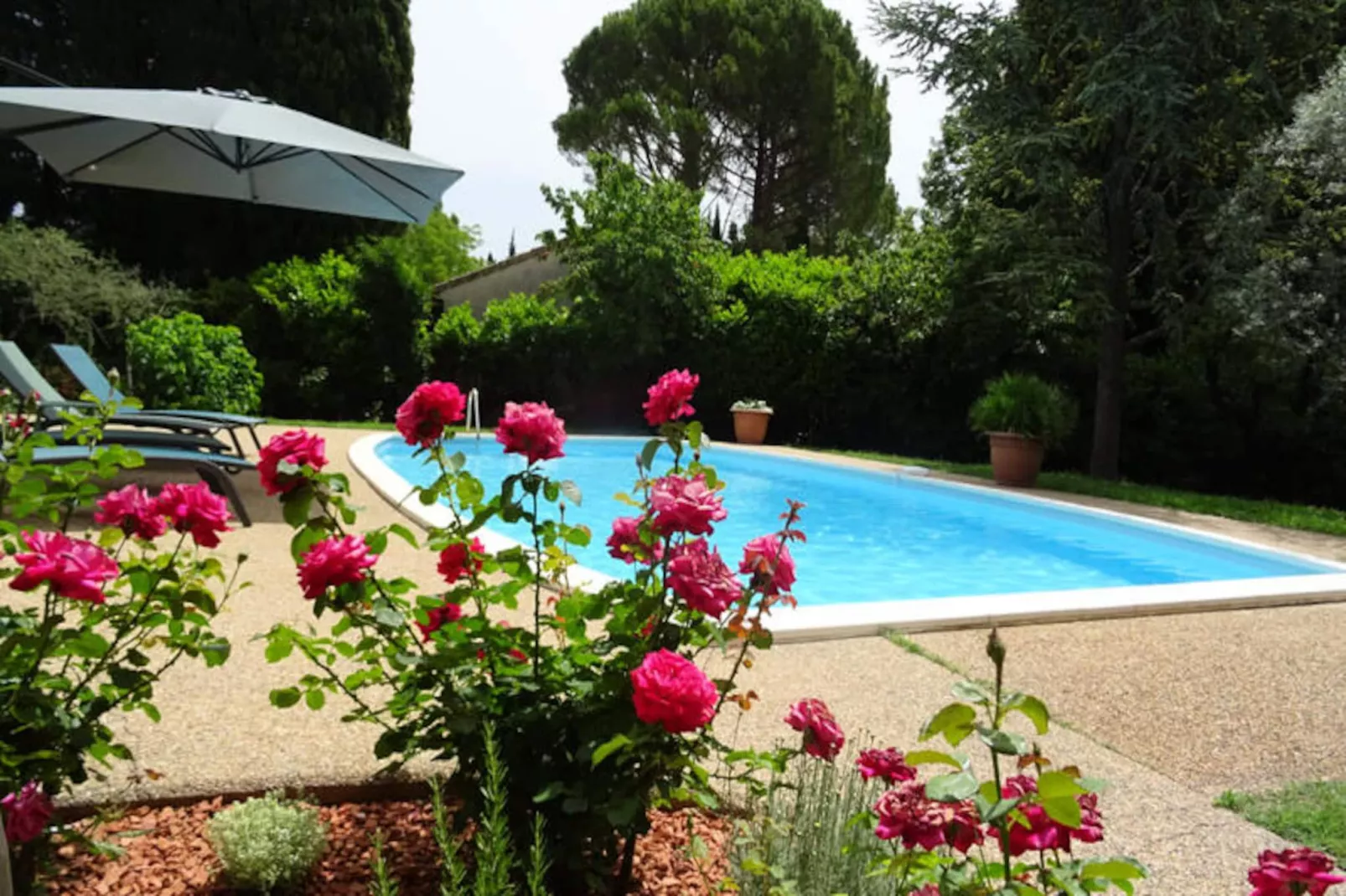 La M&eacute;sange Bleue - Piscine Priv&eacute;e-Image-tags.