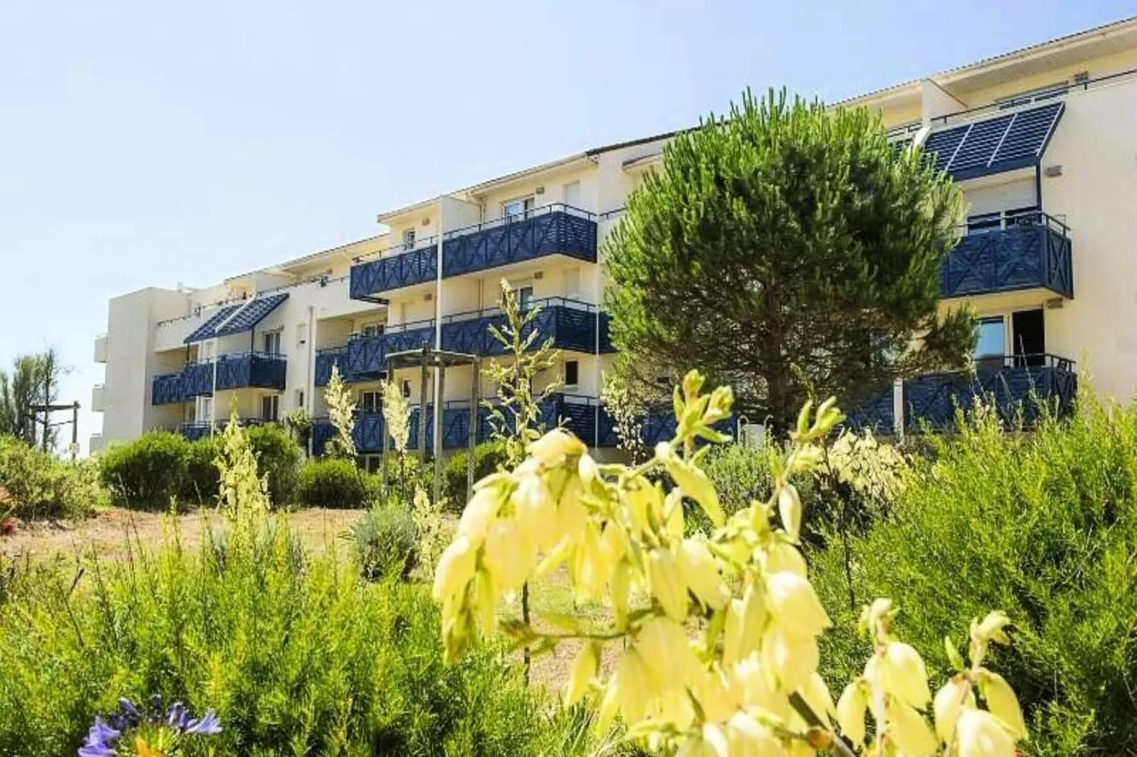 Résidence Bleu Marine - maeva Home-Tuinen zomer