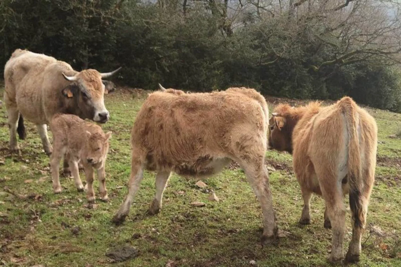 Gîte de France Gîte "la nature" 4 épis-Image-tags.