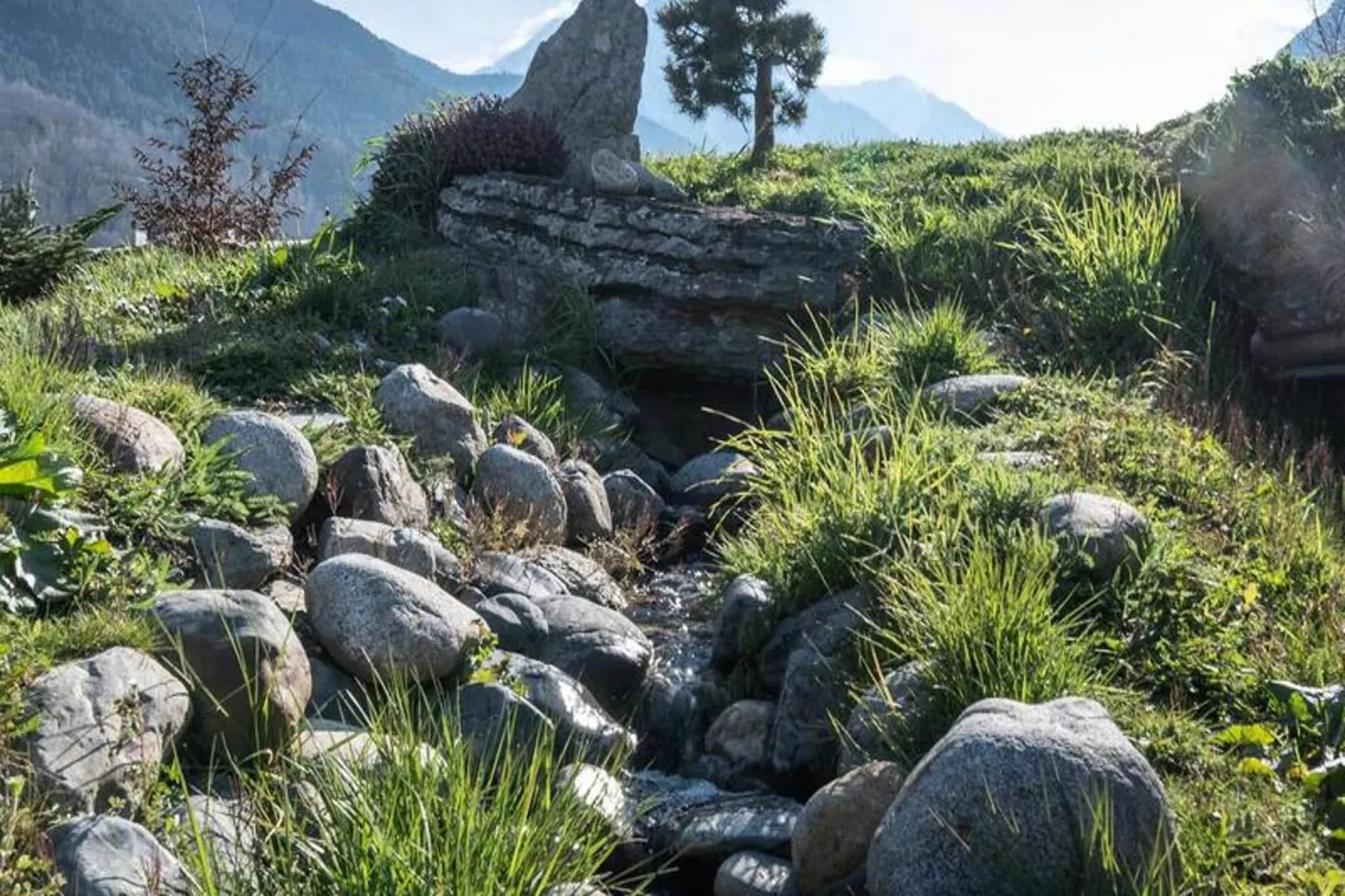Résidence Les Chamois - Gebieden zomer 5km