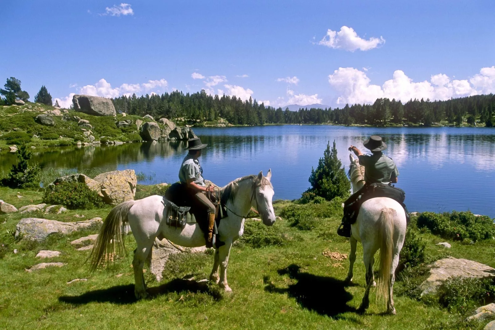 Résidence Le Panoramic Ii-Gebied winter 5km