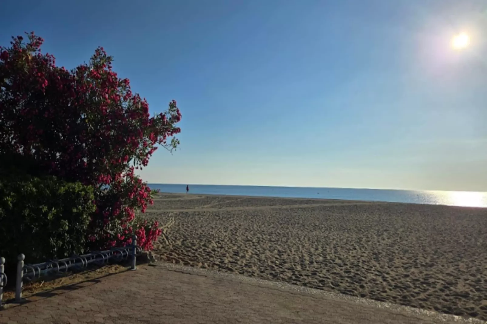 Résidence Mer & Golf Port Argelès***-Gebieden zomer 5km