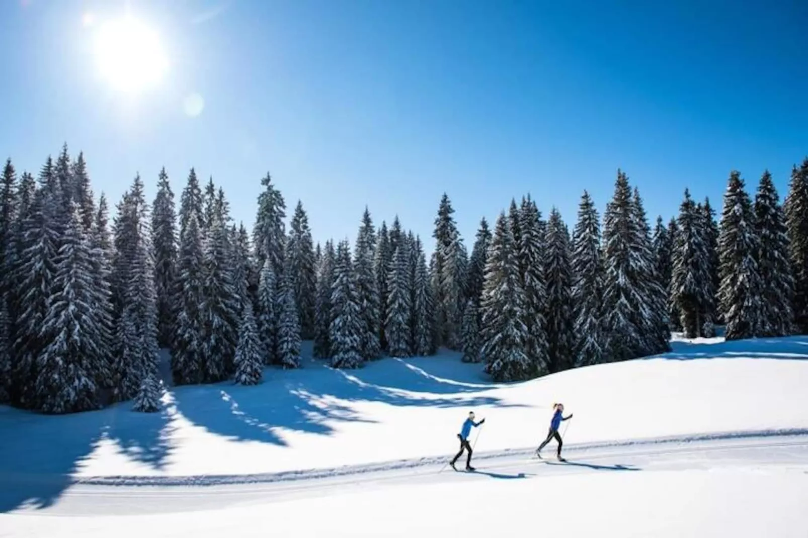 Superbe Appartement Au Pied Des Pistes - Le Chamois***-Image-tags.