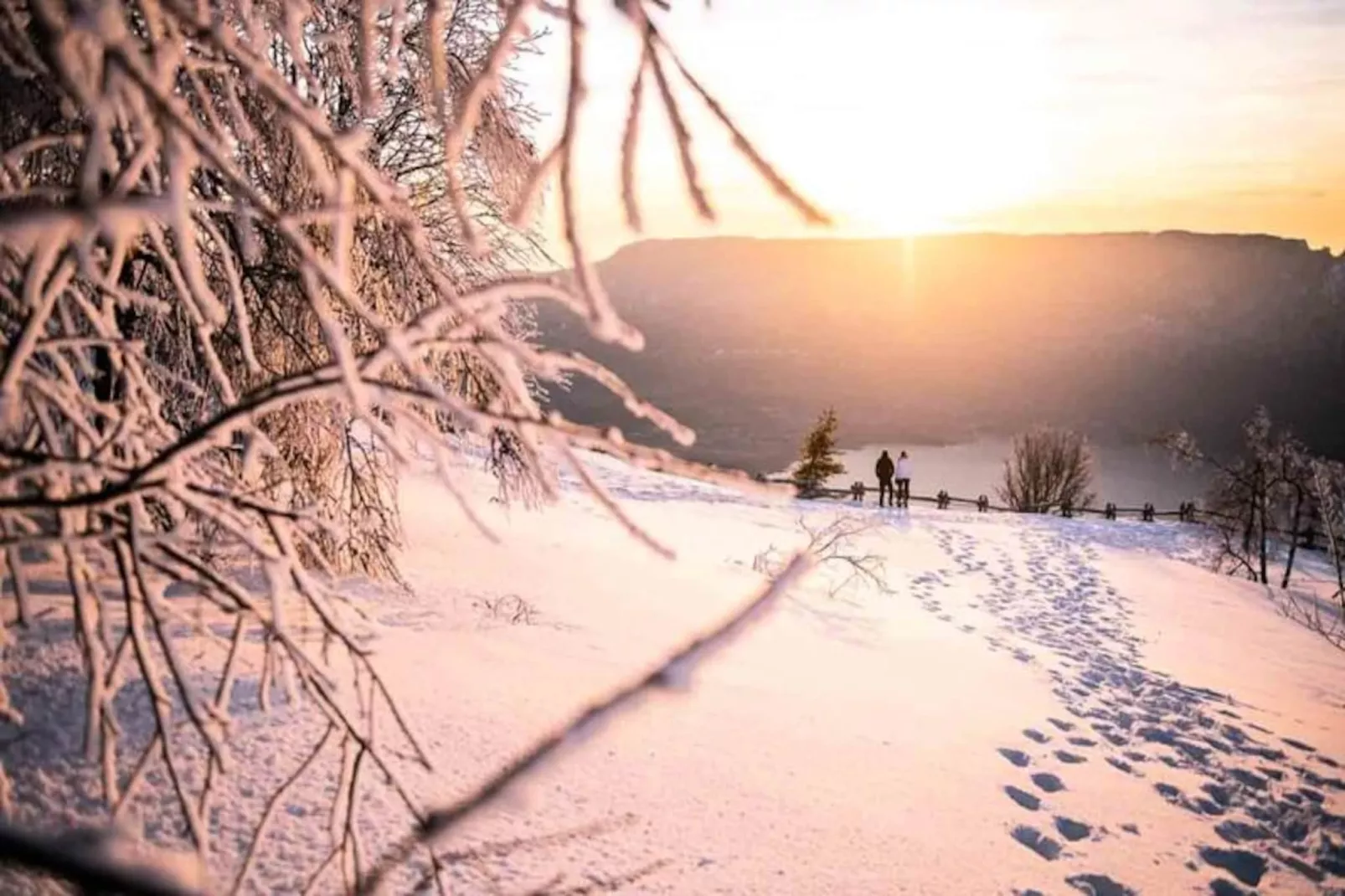 Magnifique  Appartement Vue Mont Blanc-Image-tags.