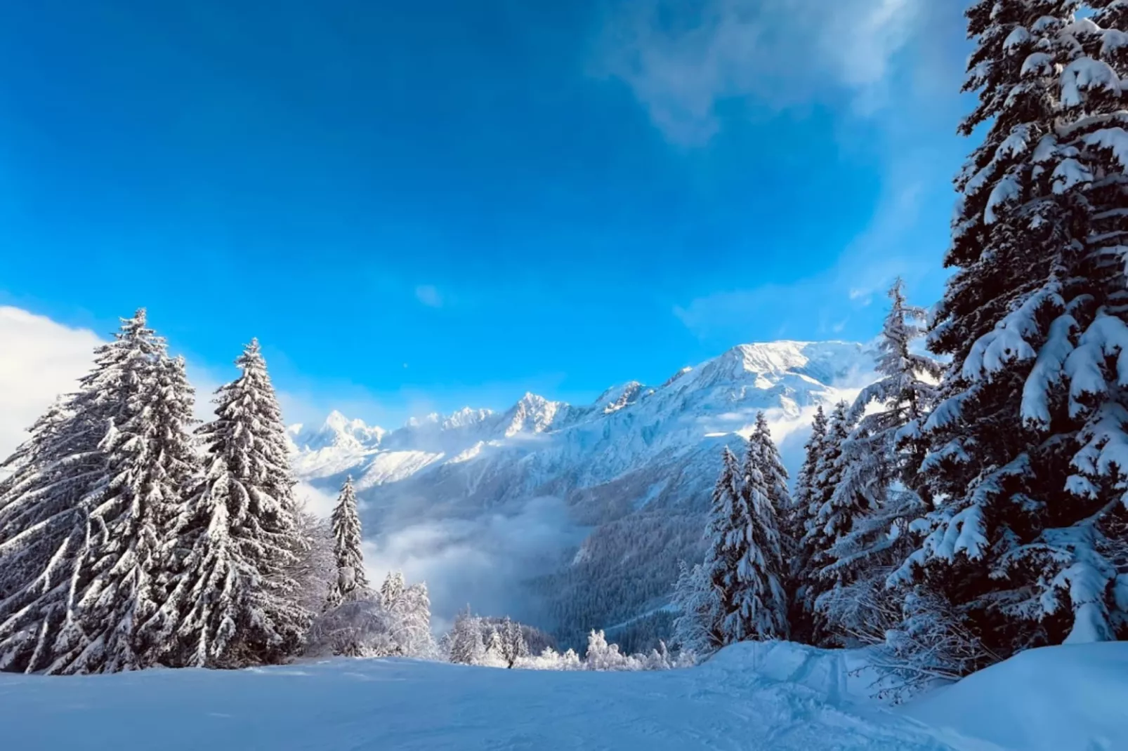 Résidence Les Esserts-Gebieden zomer 5km