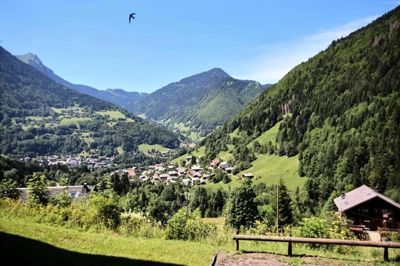 Appartements à Saint Jean d'Aulps-Uitzicht zomer