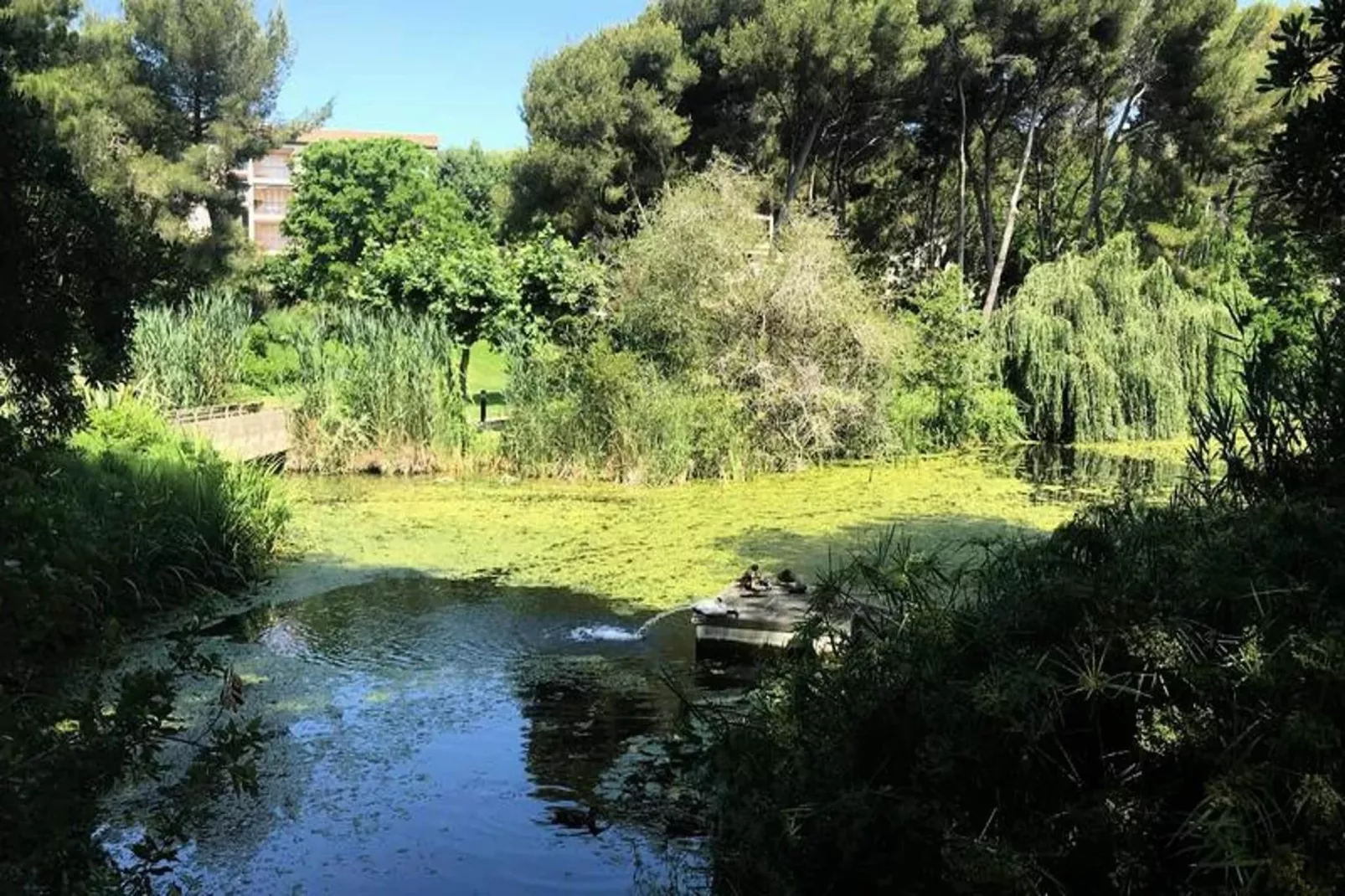 Résidence Alisier-Gebieden zomer 5km