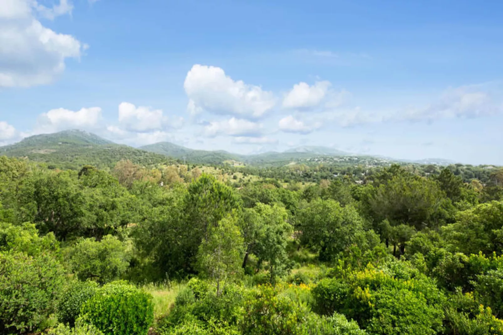 Les Villas aux Restanques du Golfe de St Tropez - maeva Home-Image-tags.