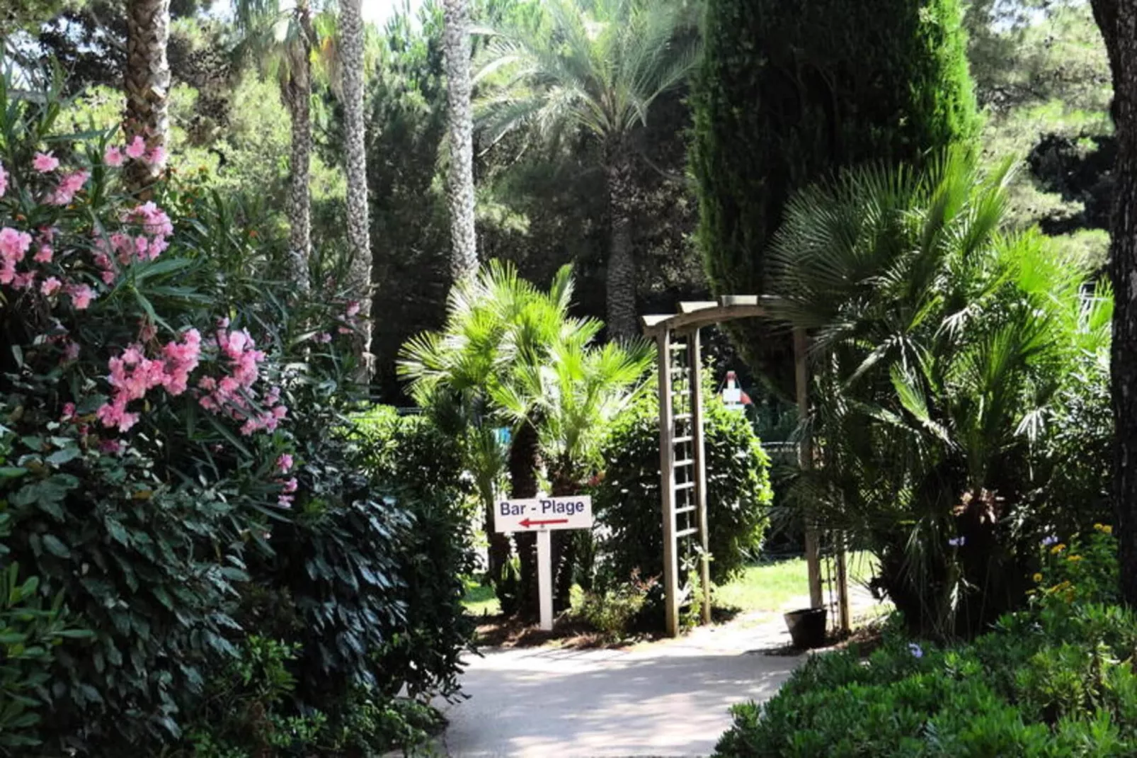 Résidence La Pinède - maeva Home-Tuinen zomer