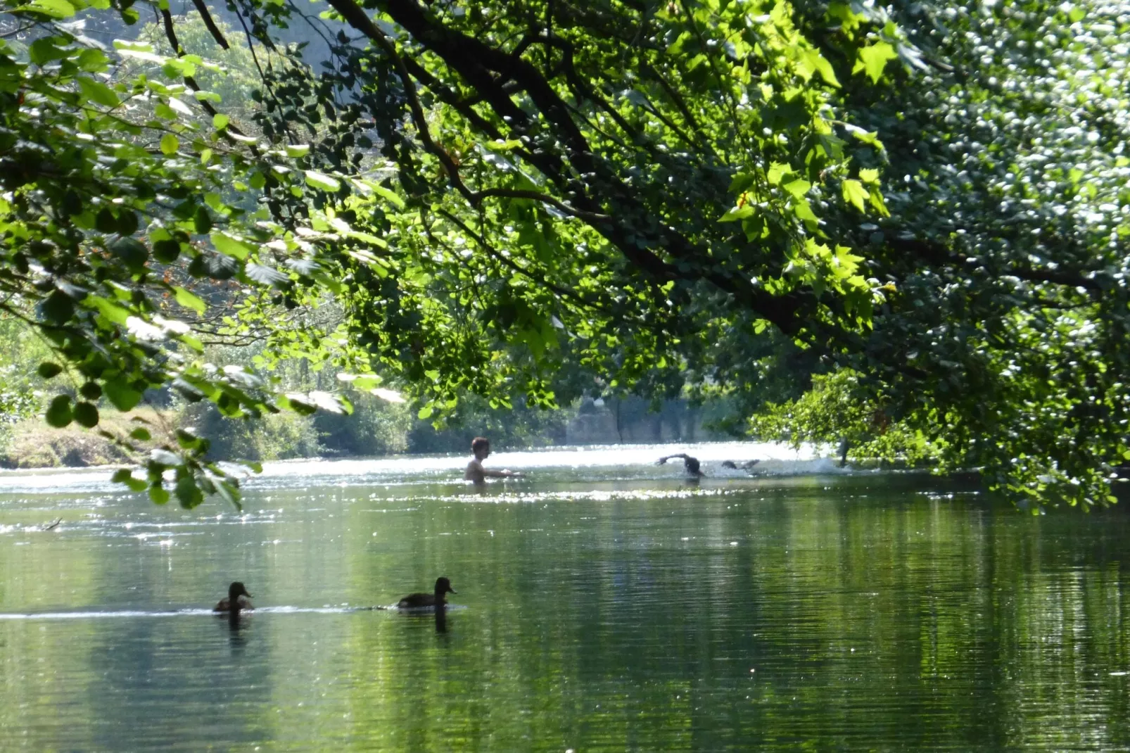 Reihenhaus in Monteux-Gebieden zomer 20km