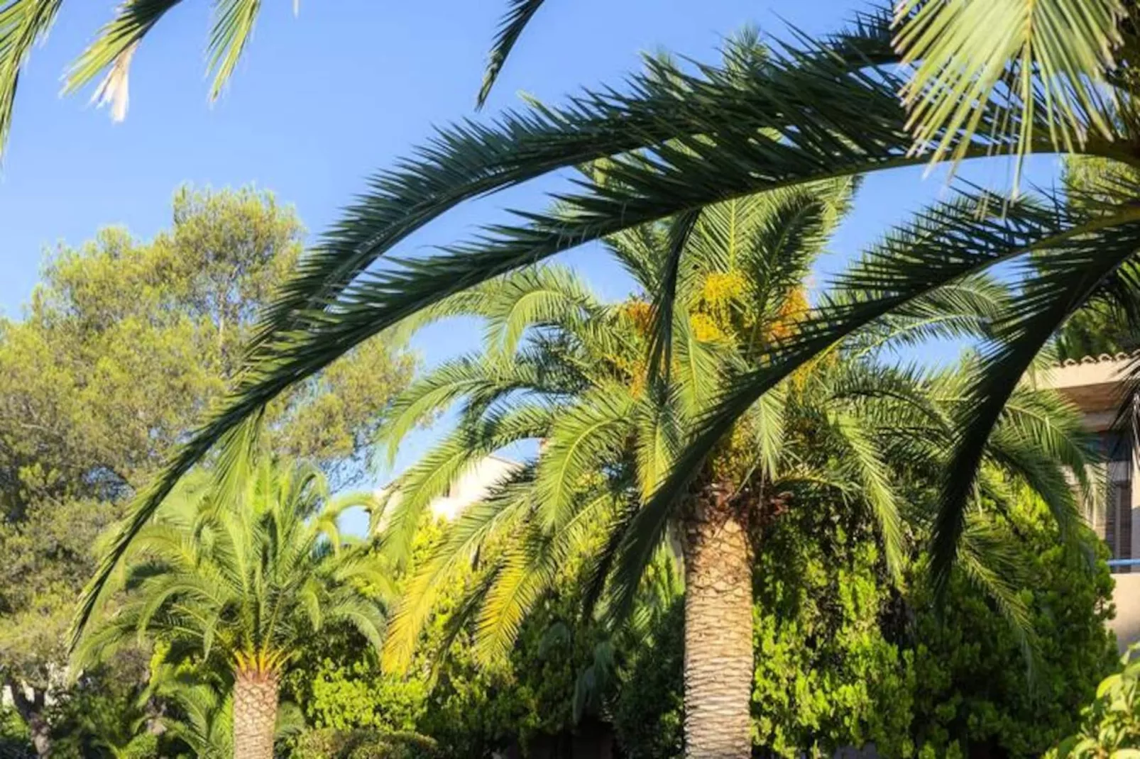 Résidence Goélia Les Jardins d'Azur-Image-tags.