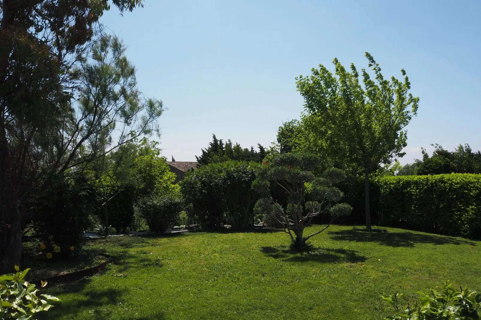 Ferienhaus in L'Isle-sur-la-Sorgue-Tuinen zomer