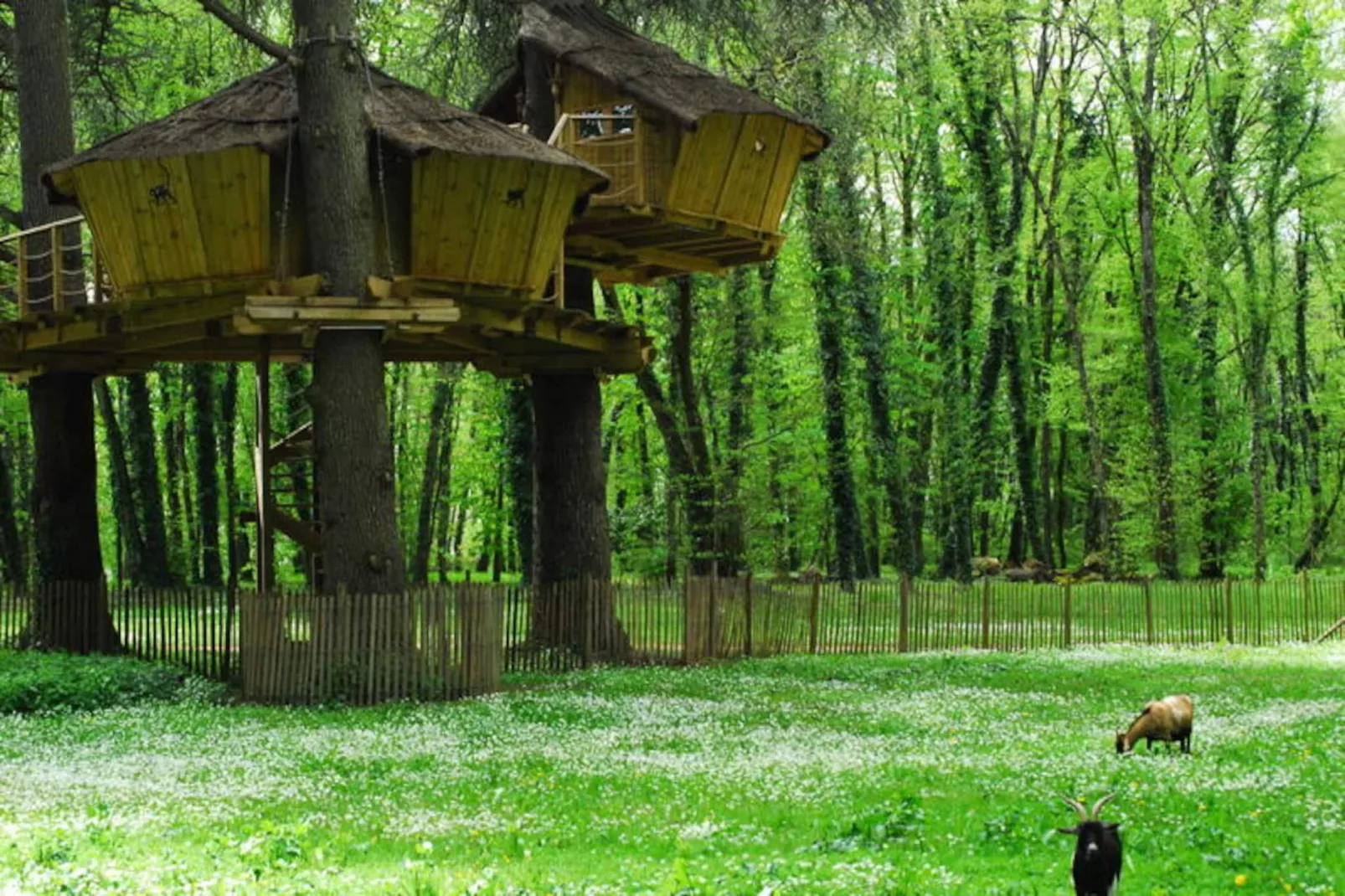 Parc de la Belle-Image-tags.