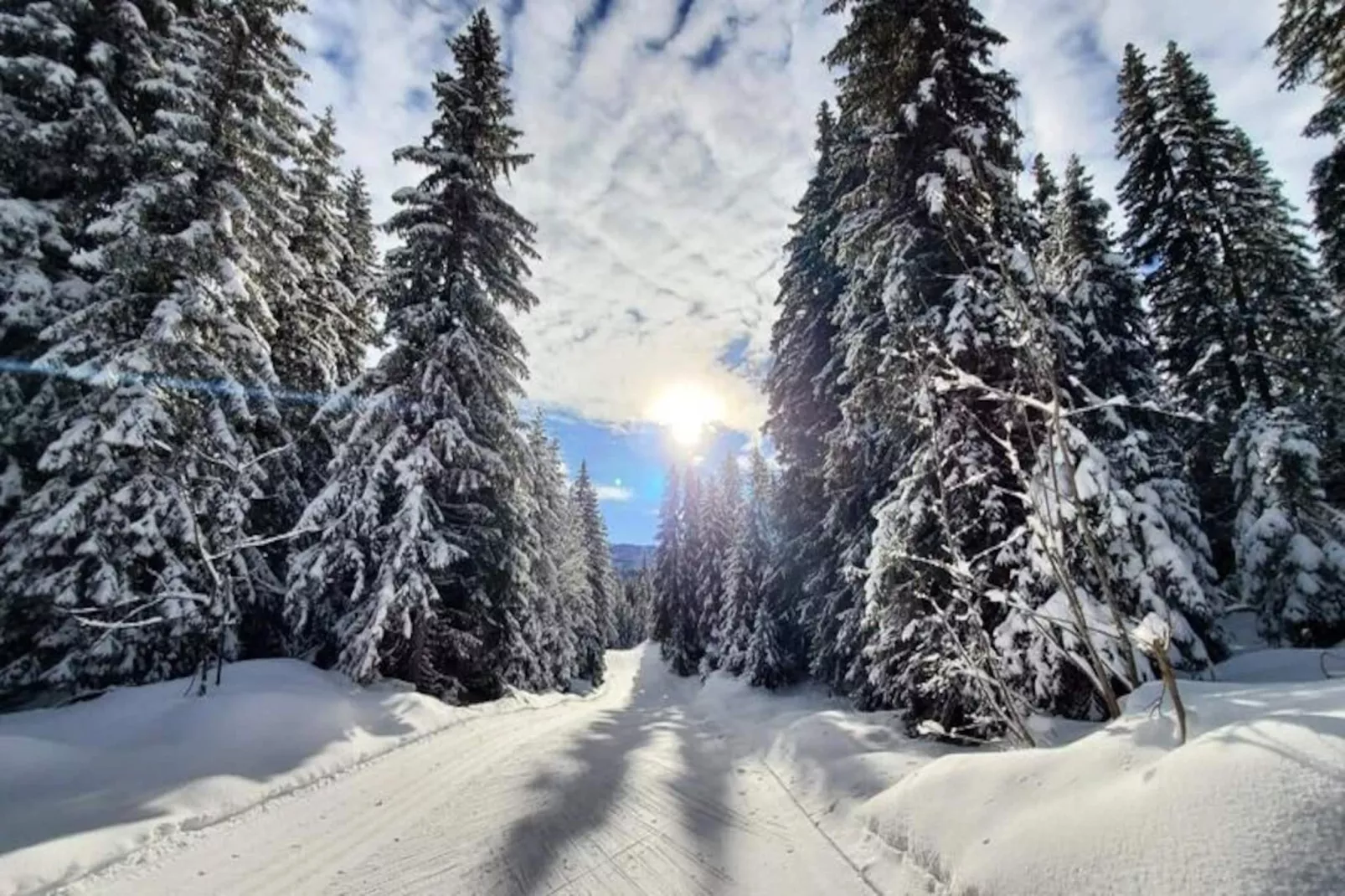 Appartement Cosy Le "wapiti" Au Pied Des Pistes-Image-tags.