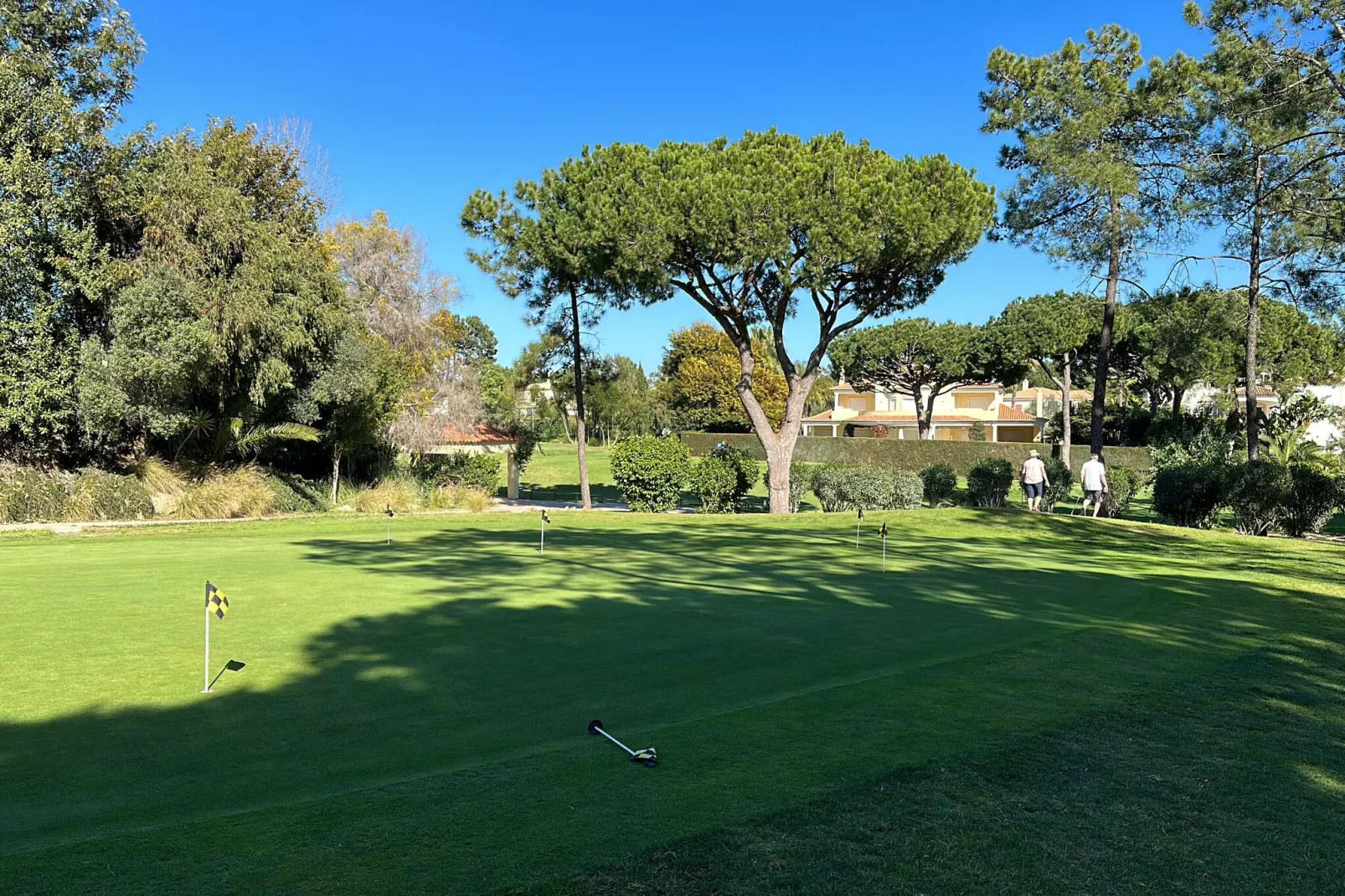 Quinta Amarela-Gebieden zomer 5km