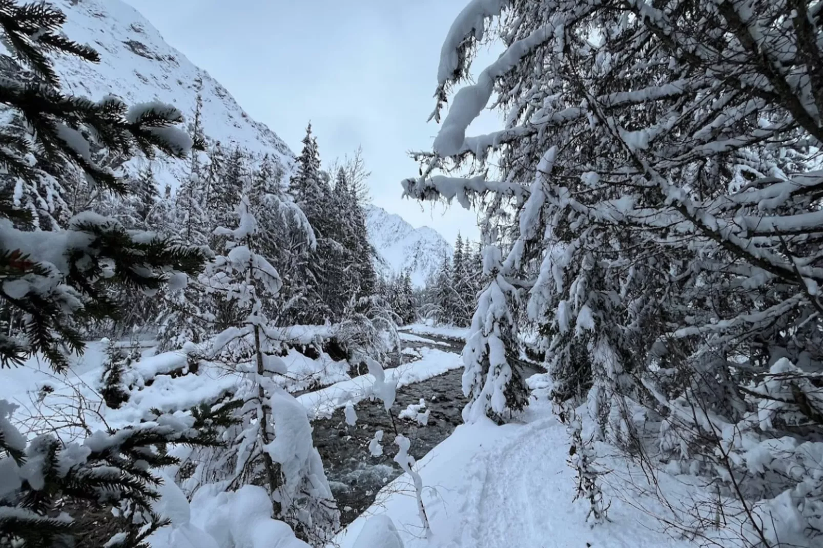 Résidence Antarès - maeva Home - Gebied winter 5km
