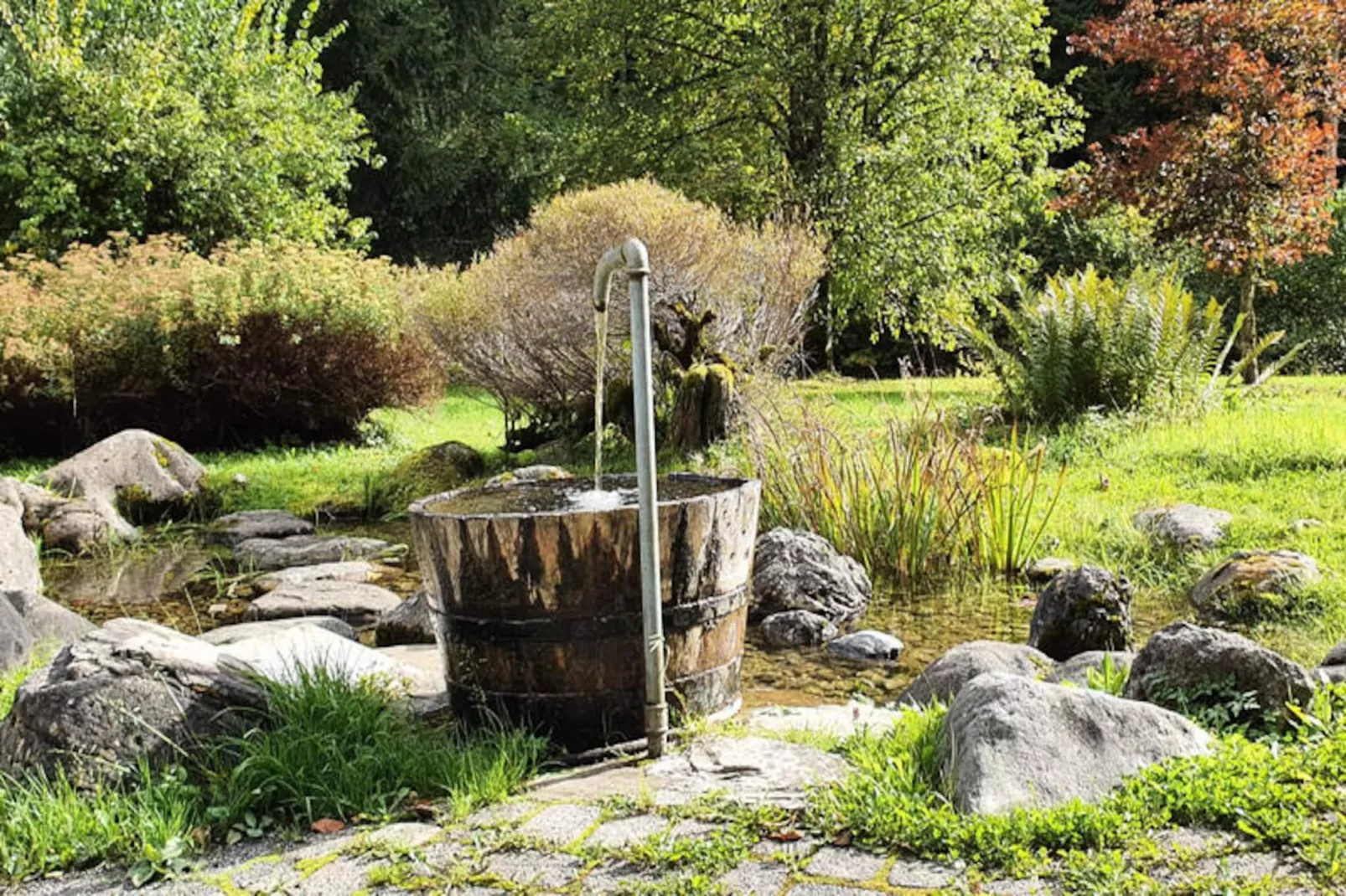 Chalets à Montriond-Image-tags.