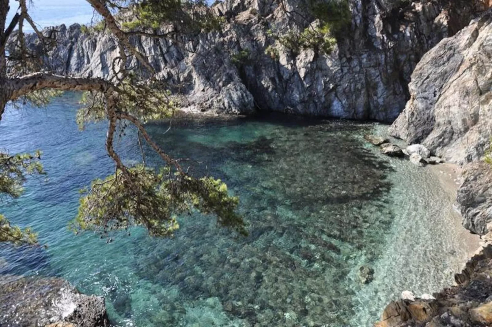 Résidence La Salamandre-Image-tags.