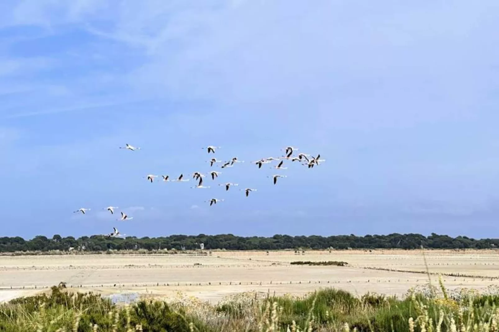 Résidence Le Palm -hyeres-Image-tags.