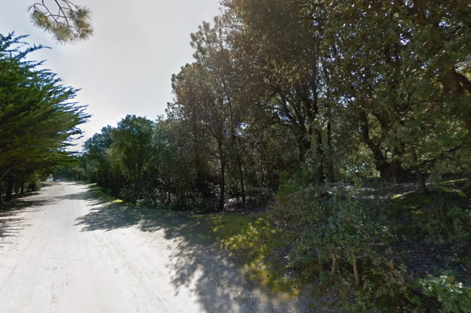 Villa Afrique Du Sud - Domaine Le Sherwood-Buitenkant zomer