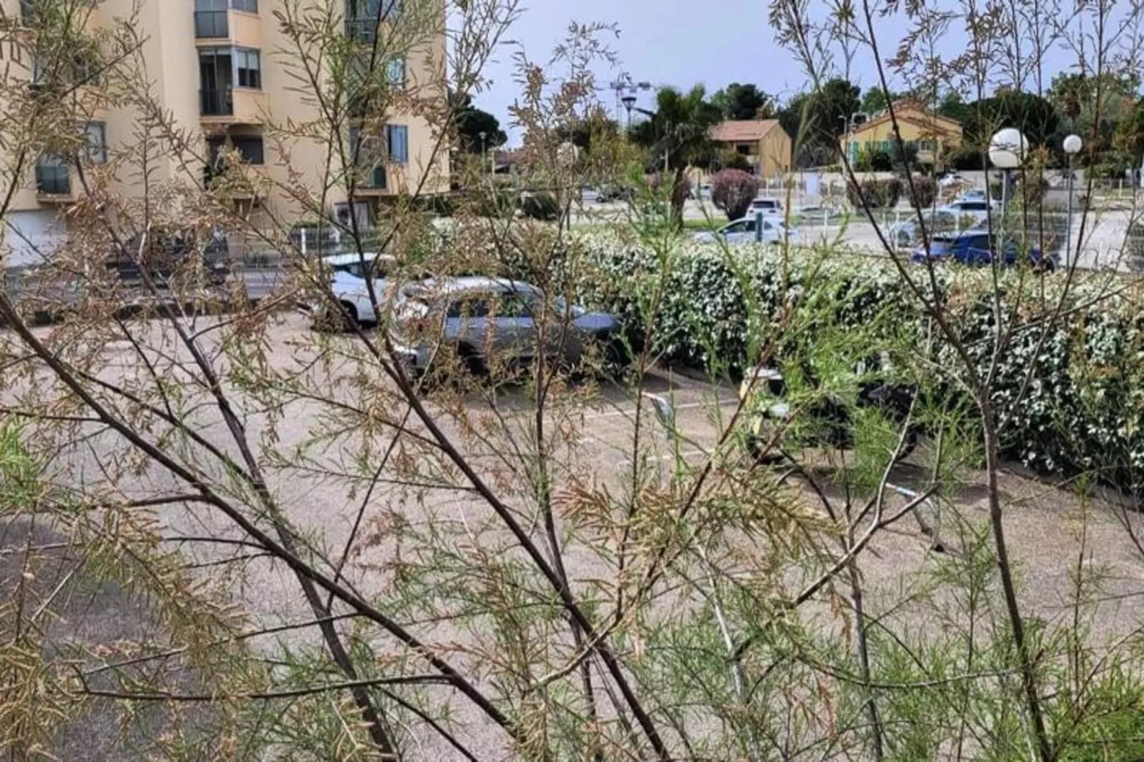 Résidence La Cigale De Mer &agrave; 100 M De La Plage Et Du Centre Ville Du Grau Du Roi-Uitzicht zomer