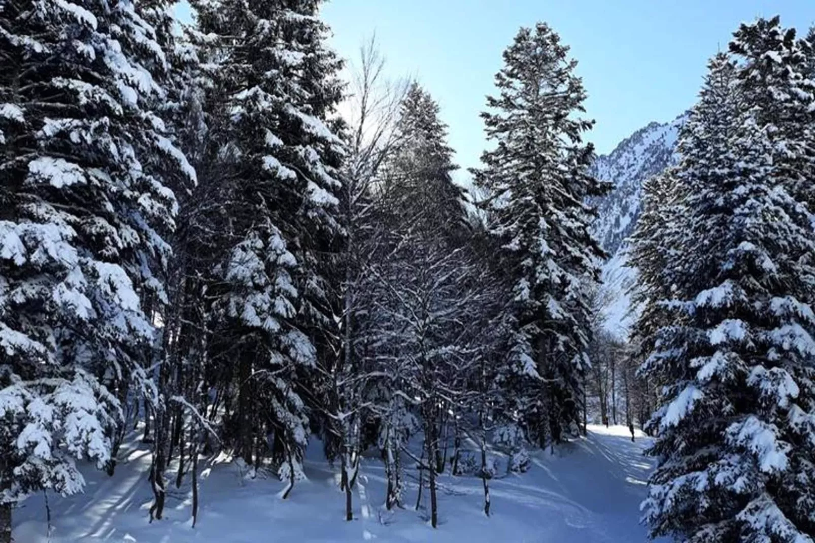 Résidence Ayre-Gebieden zomer 5km