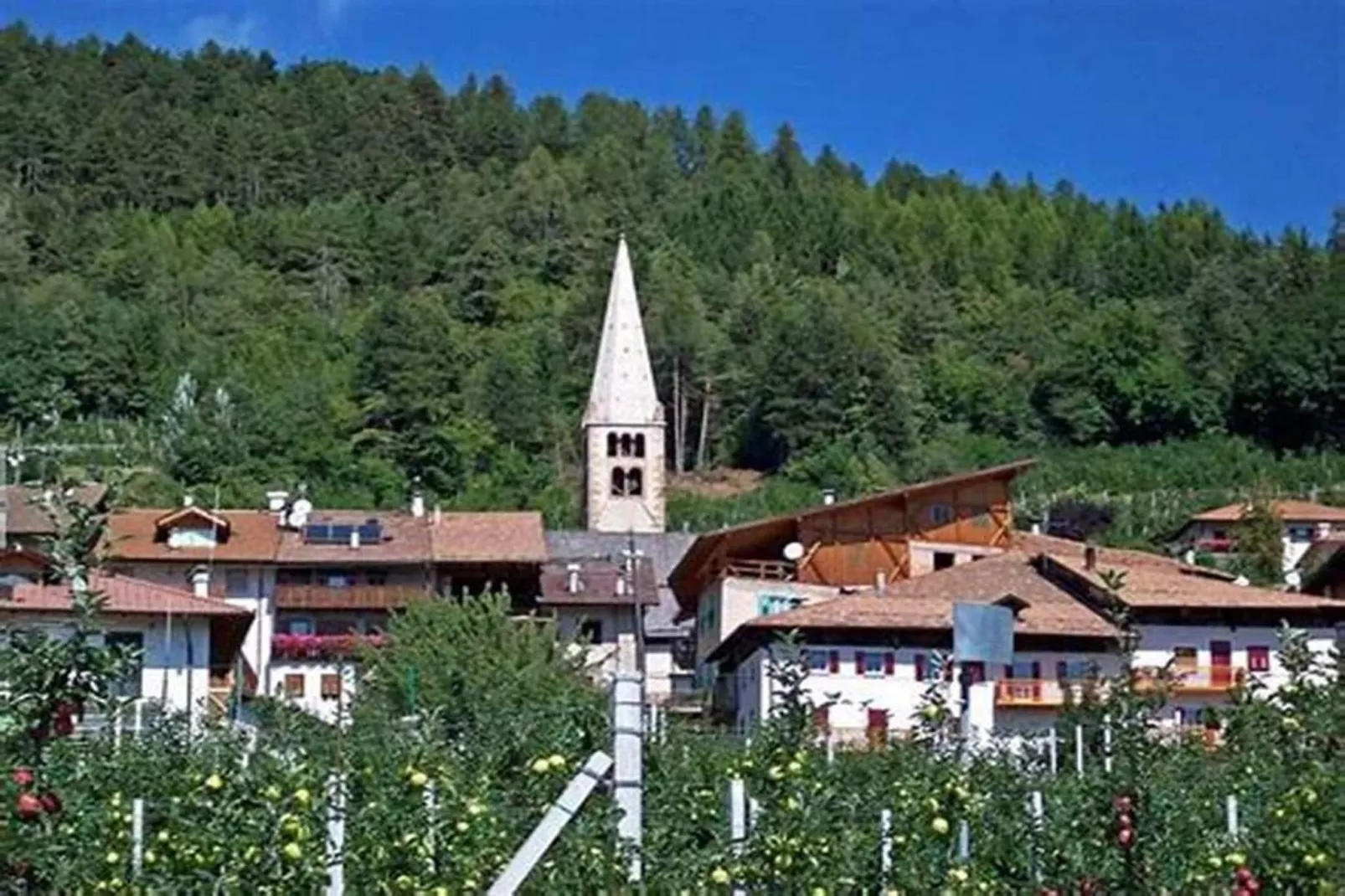 Résidence Marmottons-Gebieden zomer 5km