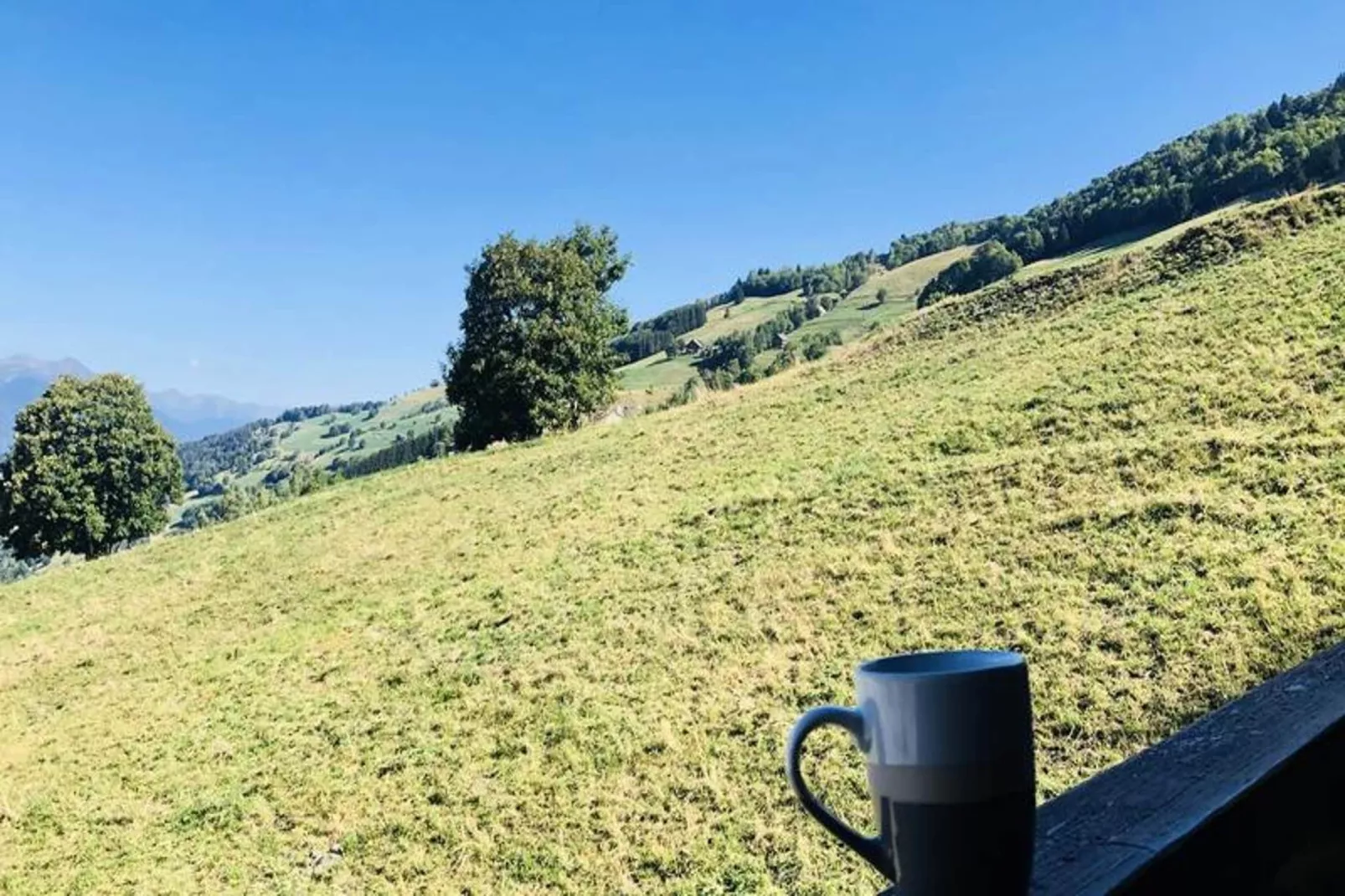 Résidence Camarine-Uitzicht zomer