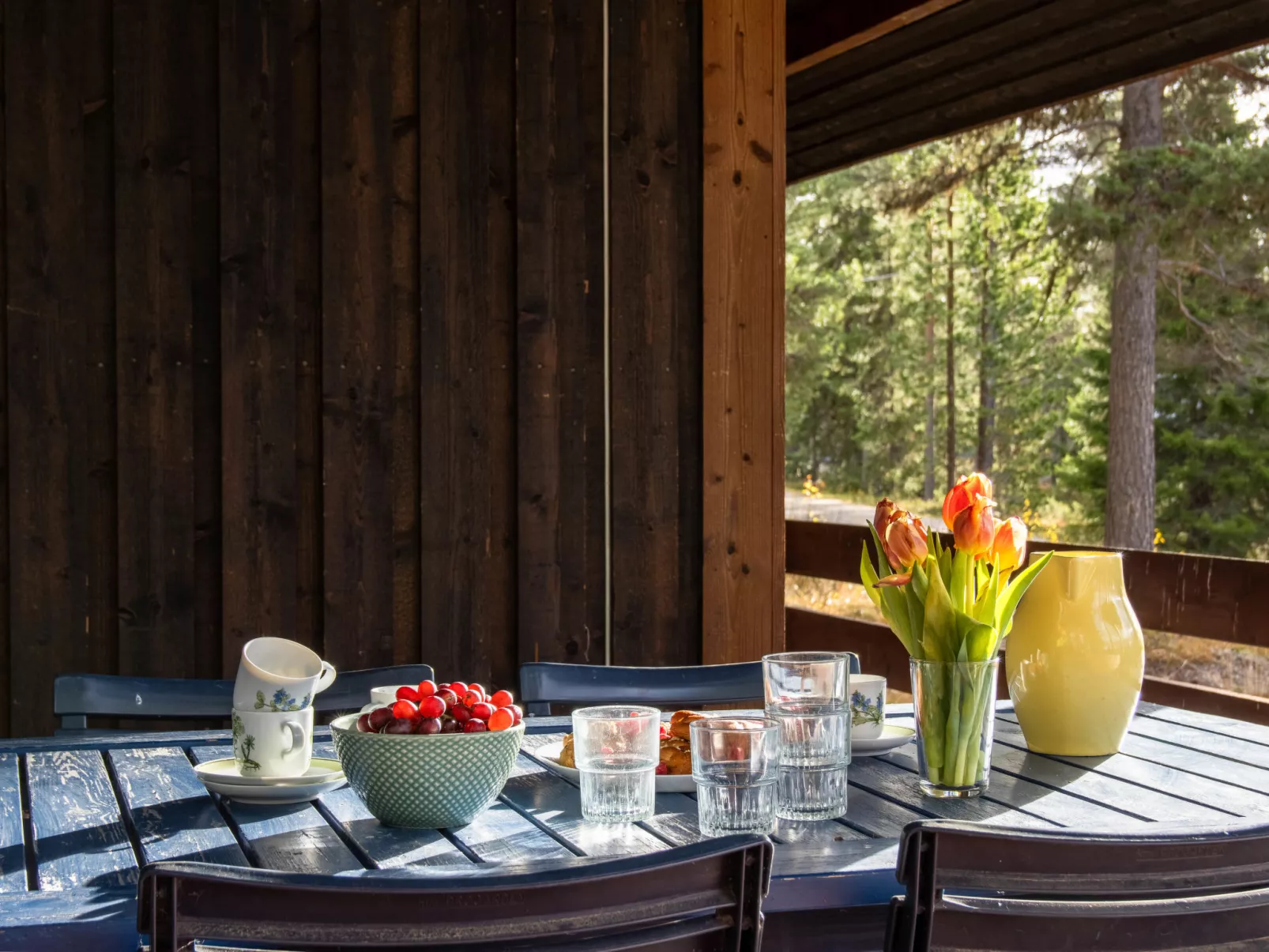 Fjällnästet-Buiten