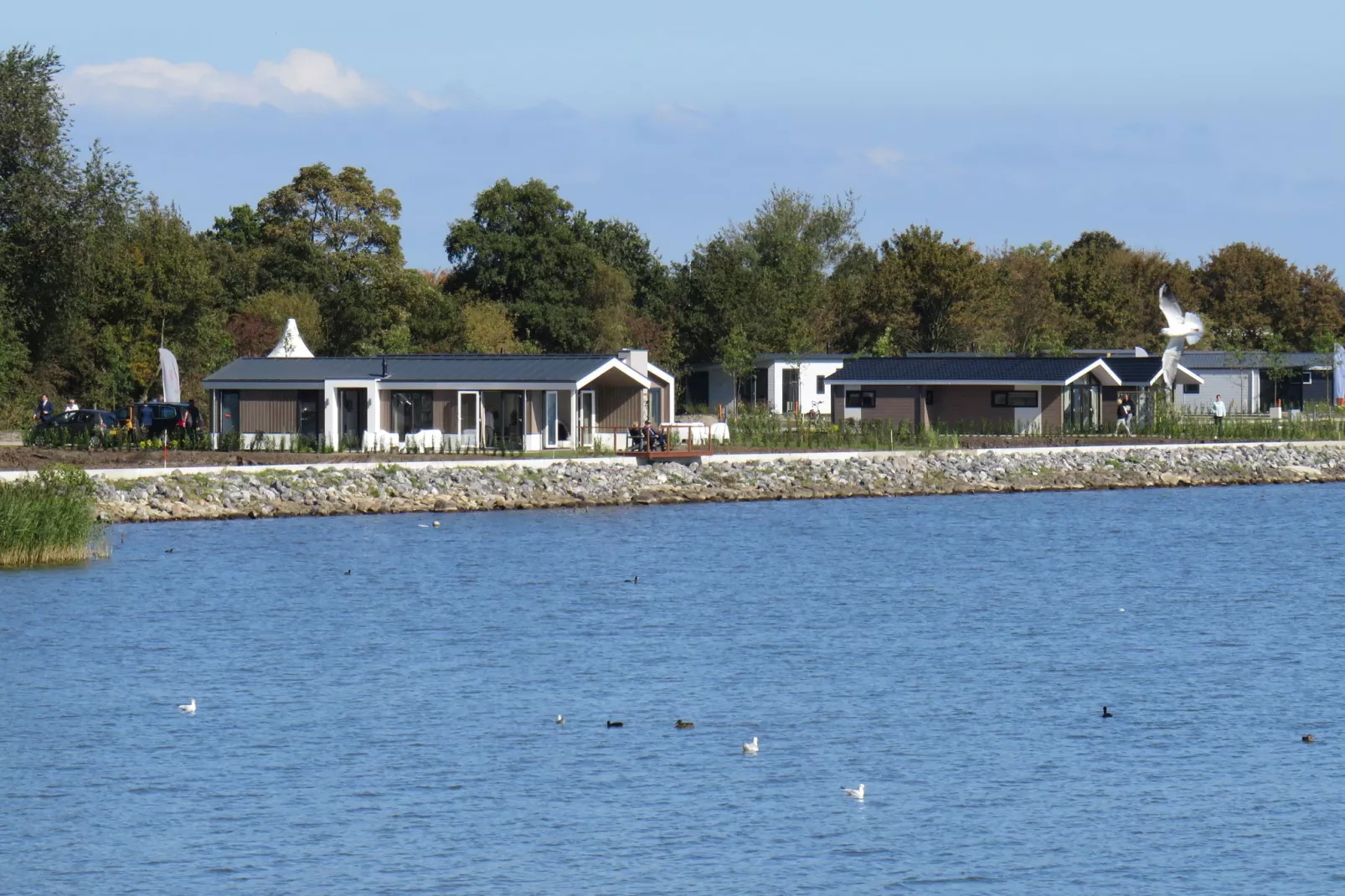 Resort Markermeer 1-Gebieden zomer 1km