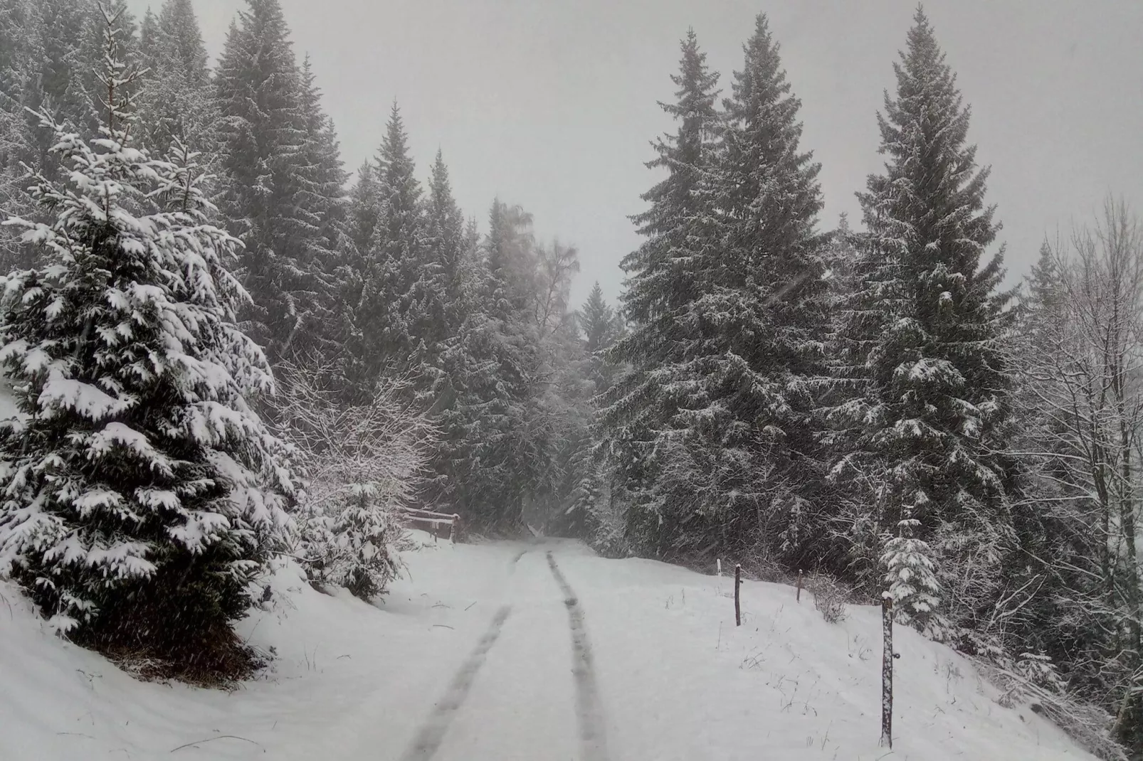 Résidence Le Brulaz-Buitenkant zomer