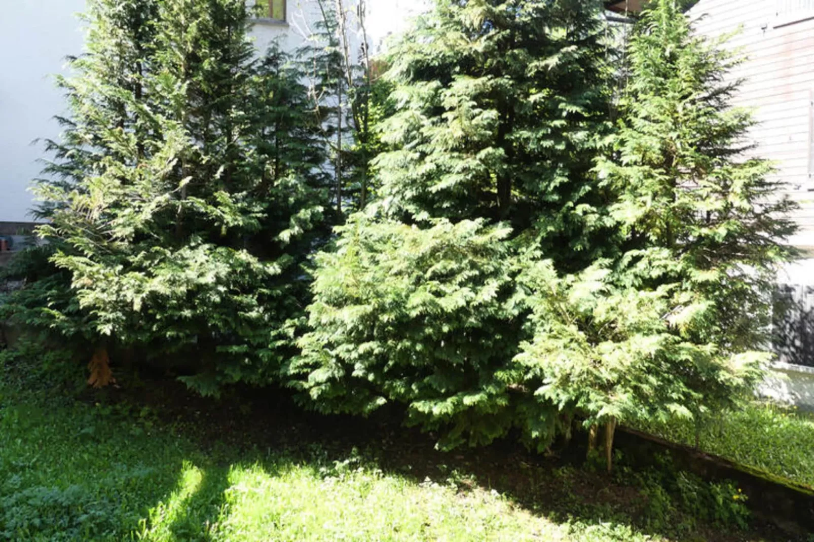 Appartements à La Clusaz-Woonkamer